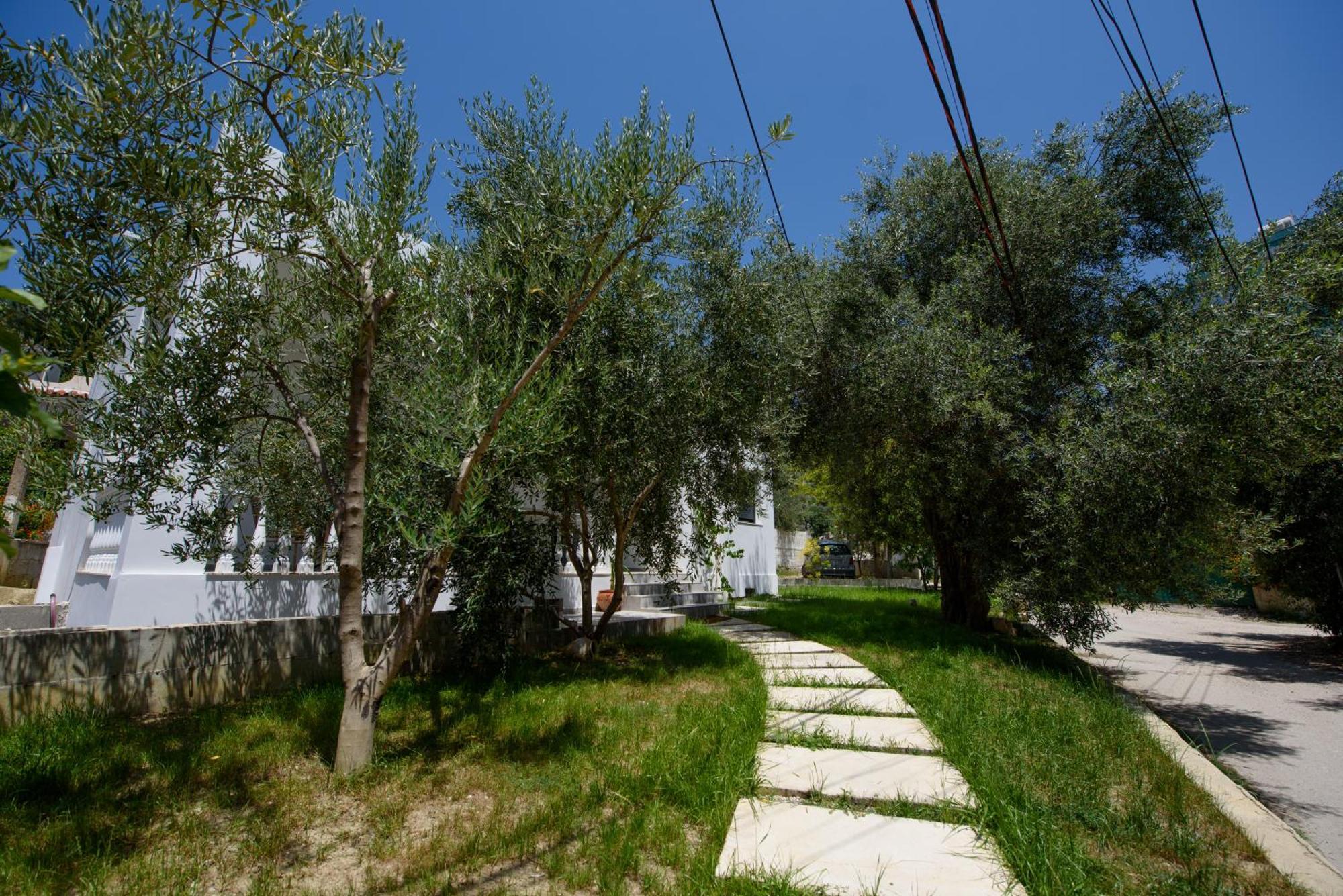 Olivium Rooms Vlorë Exterior foto